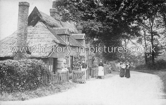 Wigila Cottage, Woodham Mortimer, Essex. c.1907